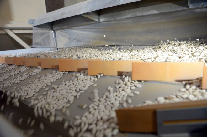 ГФ рассматривает предоставление гарантий переработчику фасоли в Таласе