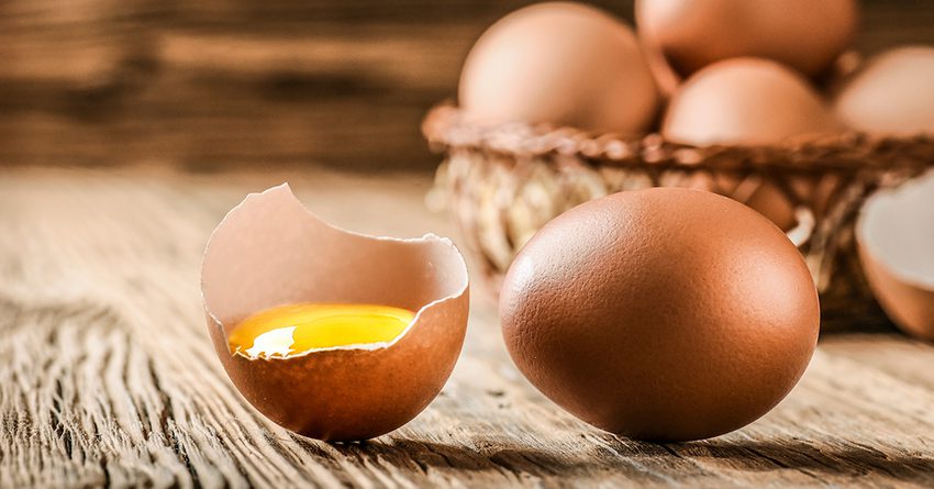 Россия пока не вводила запрет на экспорт яиц