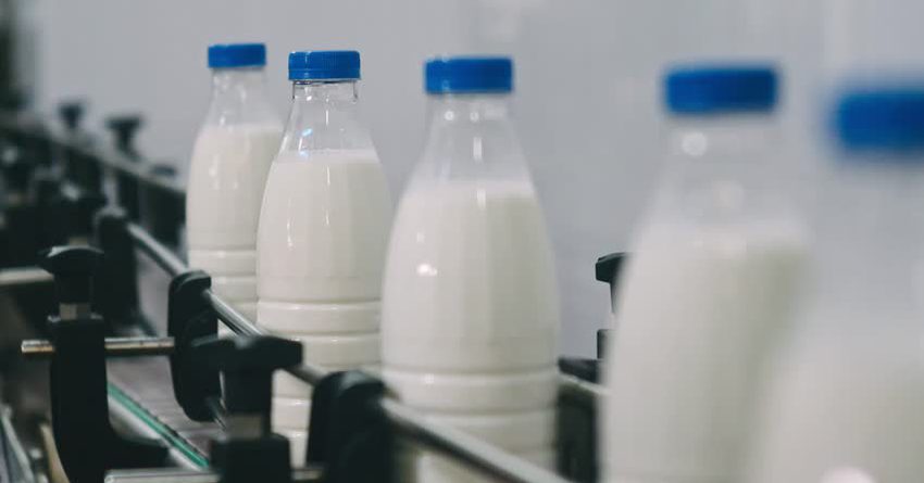 Россельхознадзор считает, что КР поставляет в Россию молоко из других стран