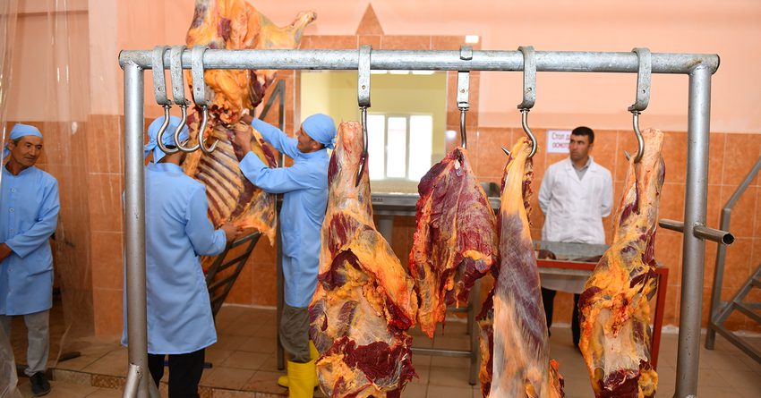 В Кыргызстане в селе Ала-Бука открыли мясной убойный цех