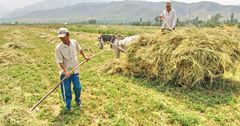 В КР более 9 тысяч фермеров получили финансовую поддержку