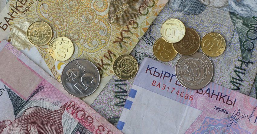 Национальной валюте Кыргызстана исполнилось 27 лет