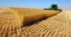 Производство сельхозпродукции увеличилось на 3% во всех странах ЕАЭС