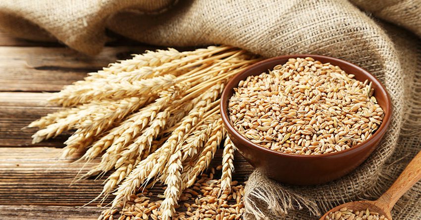 В Кыргызстане одни из самых высоких цен в ЕАЭС на пшеницу и свеклу