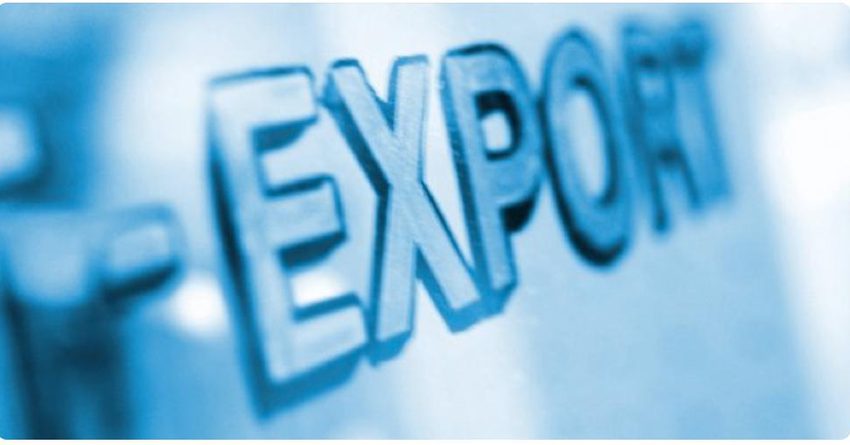 Кыргызстандын үчүнчү өлкөлөргө болгон экспорту 28.9% өскөн