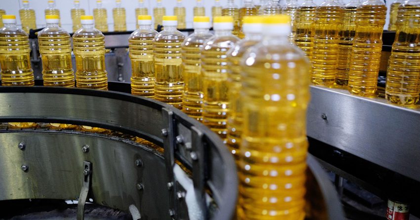 Казахстанские компании хотят производить в КР подсолнечное масло