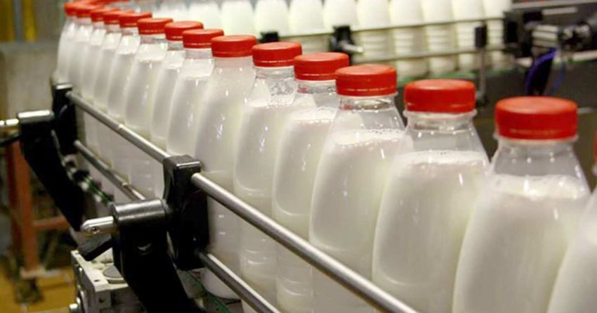 Молочный сектор. В Баткене взяли кредиты лишь на 3 млн сомов