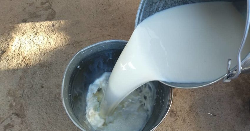 В Оше производство сырого молока снизилось на 26.4%