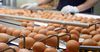 В КР выросло производство яиц, но объемы ниже, чем во всех странах ЕАЭС