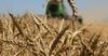 «Фонд развития предпринимательства» снизил ставки на кредиты для фермеров