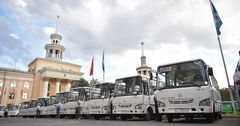 Мэрия Бишкека запустит 200 автобусов ко Дню независимости Кыргызстана