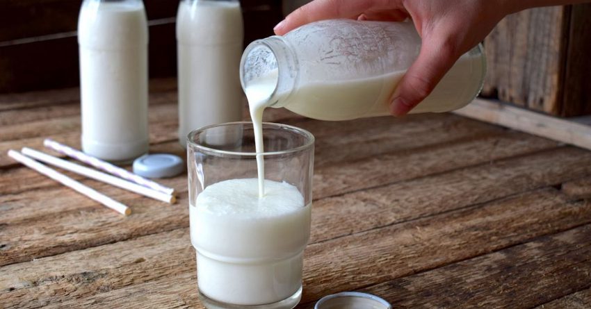 В январе — ноябре 2022 года больше всего молока произвели в Чуйской области