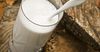 В 2019 году в КР произвели на 2.3% больше молока