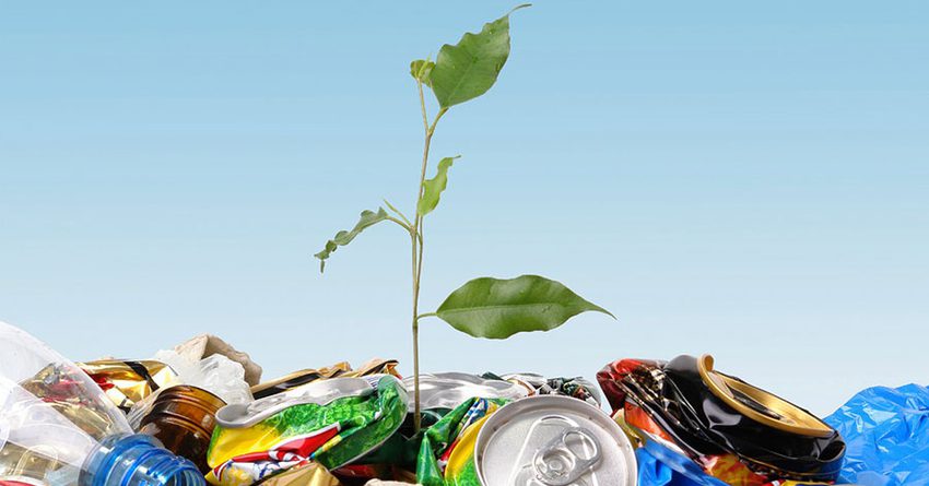 WasteNet принимает заявки на гранты по переработке бытовых отходов в КР