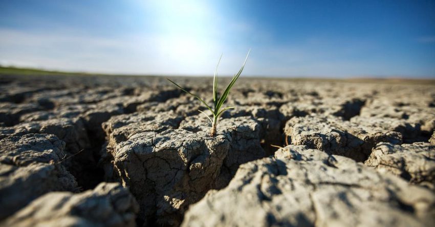 Нарушение плодородного слоя земли обойдется в 36.4 млн сомов