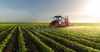 По данным ЕЭК, в КР в сравнении с 2022 годом собрано на 40.5% меньше зерна