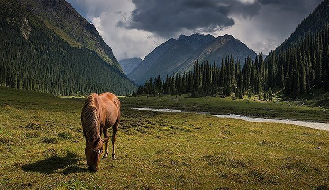 Каждый турист в 2018 году потратил в Кыргызстане почти по $329