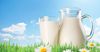 В Кыргызстане предлагают поднять закупочную цену на молоко в два раза