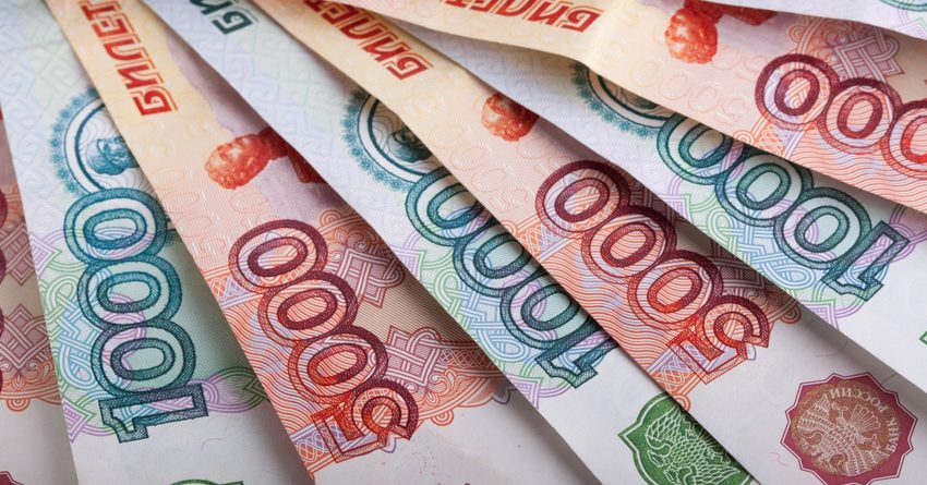 Рубль в ЕАЭС стал меньше участвовать в торгах