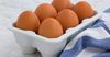 В КР растет производство яиц, однако цены на них самые дорогие в ЕАЭС