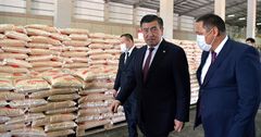 Президент посетил предприятие «Дан Агропродукты»
