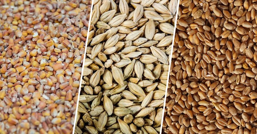 25% мирового экспорта пшеницы приходится на ЕАЭС