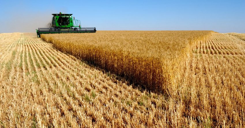 ЖК рассмотрит запрет на кредиты для фермеров дороже 7%