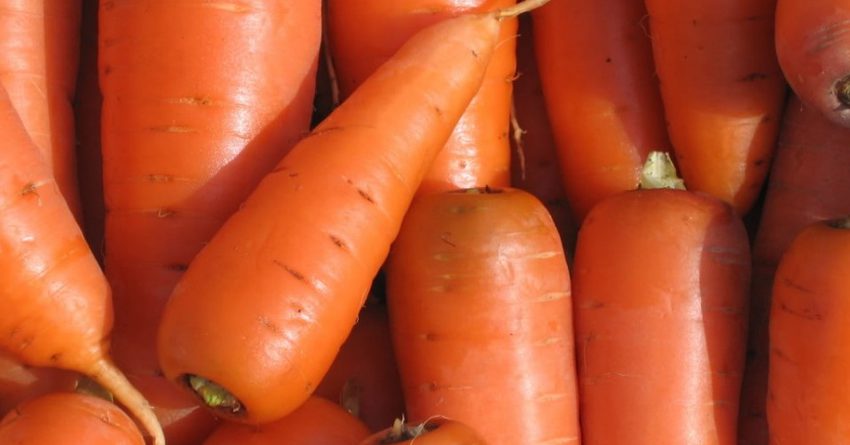 В Оше пресекли контрабанду моркови на полмиллиона сомов