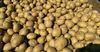Кыргызстанда 317 миң тонна картошка жыйналды