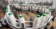 В 2019 году в КР произведено более 1.6 млн тонны молока