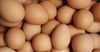 Отмечено увеличение производства куриных яиц: рост на 113%