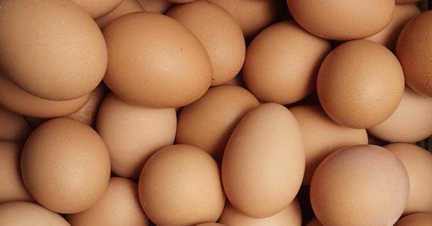 Отмечено увеличение производства куриных яиц: рост на 113%