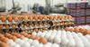В ЕАЭС производство яиц выросло только в Кыргызстане и России