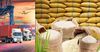 Кыргызстан экспортирует рис в пять стран, а импортирует из 13 стран