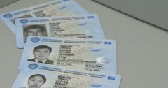 Депутат ЖК призвал правительство ускорить внедрение биометрических паспортов
