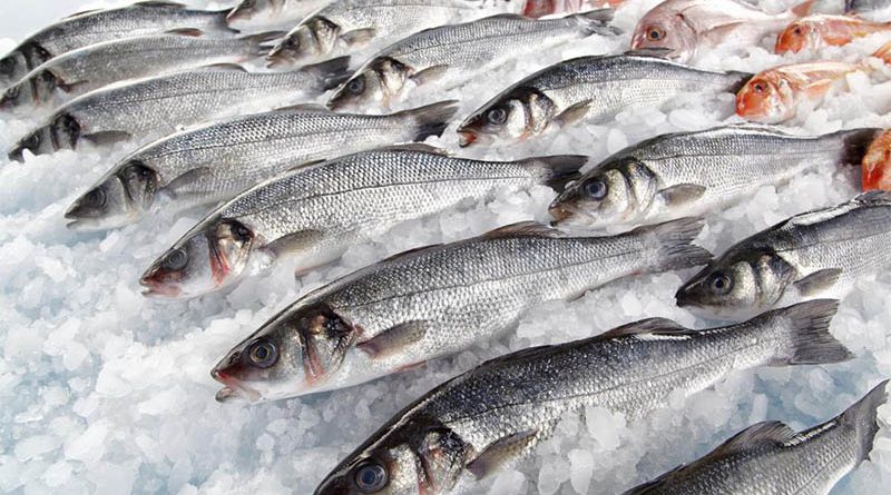 Казахстан экспортирует рыбу из Кыргызстана в Россию под видом своей