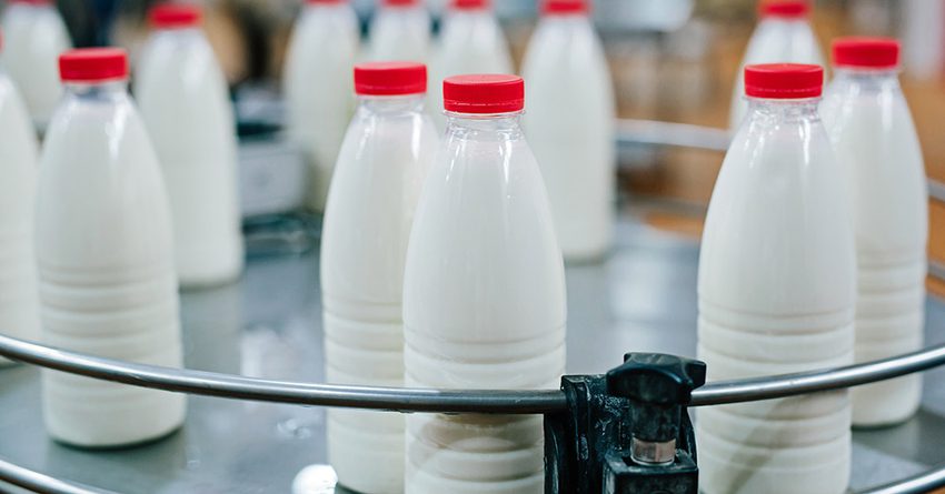 В Кыргызстане экспорт молока снизился на 23.6%