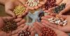Кыргызстан на 50 млн сомов закупил семена у Узбекистана