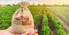 Для сельского хозяйства под госгарантии выдано кредитов на 1.25 млрд сомов