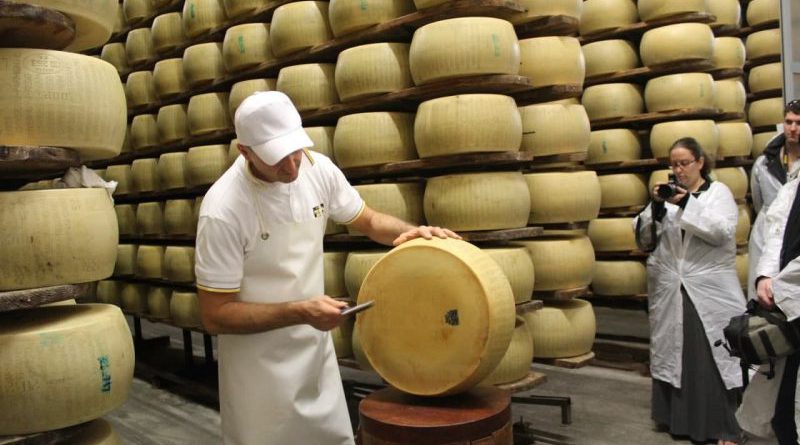 Итальянские технологи проведут обучение для отечественных сыроваров