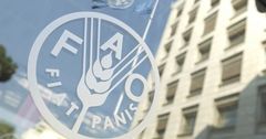 Мировые цены на продовольствие в марте резко снизились — ФАО ООН