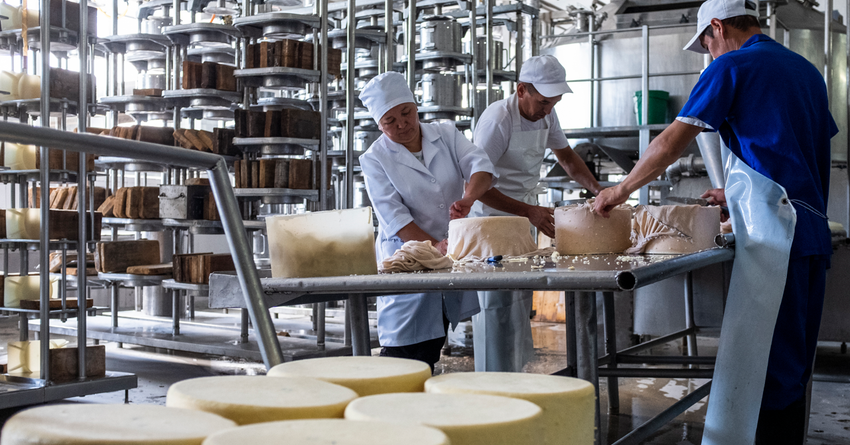 РКФР выделил $1 млн на запуск сырной линии в ОсОО «Ак-Булак плюс»