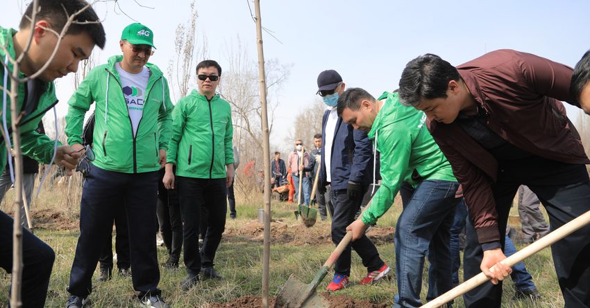 MegaCom принял участие в экологической акции по озеленению парка в Бишкеке