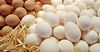 В Кыргызстане за три месяца произведено 169.7 млн куриных яиц