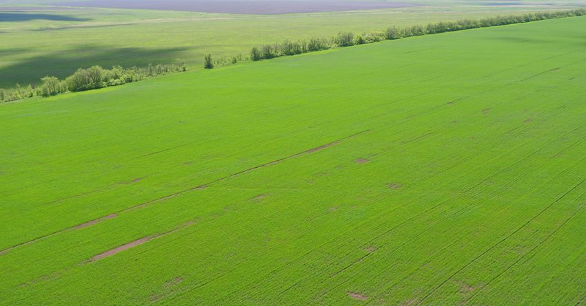 В Нарынской области трансформируют 10.9 гектара земель сельхозназначения