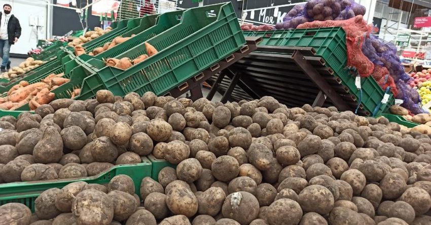 Кыргызстанские фермеры могут начать поставлять картофель в Самарканд