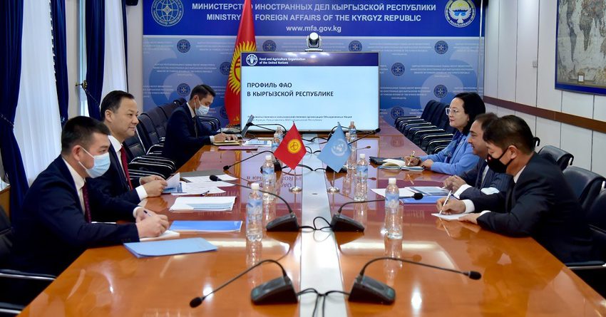 ФАО увеличит объем инвестирования в Кырыгызстан