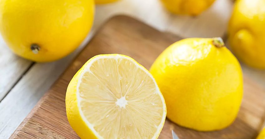 Из Таджикистана в Кыргызстан ввезли тонны контрабандного лимона