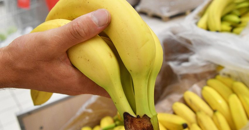 В гипермаркетах «Глобус» сообщили о дефиците бананов