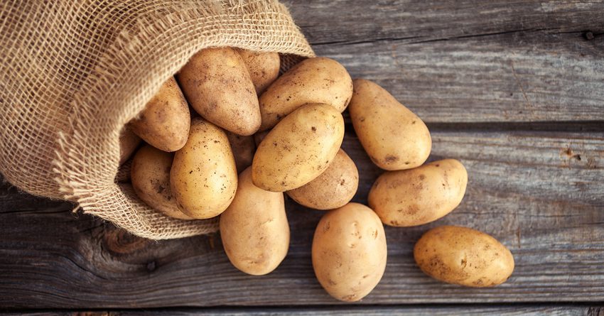 За год картофель в Кыргызстане подешевел почти на 6 сомов